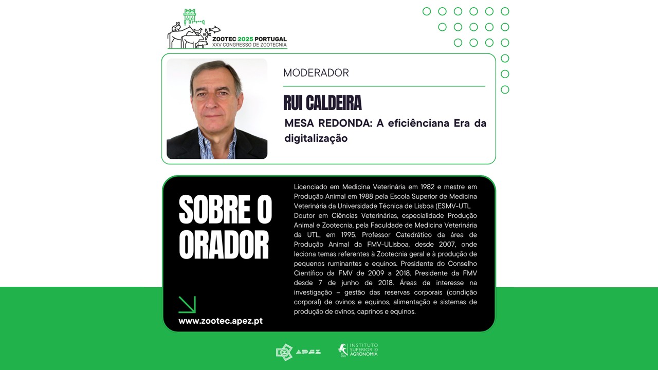 Rui Caldeira
